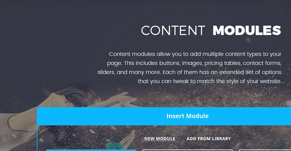 swanxy wordpress тема