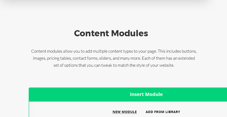 софтверная компания wordpress theme