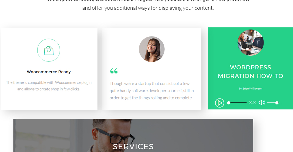 софтверная компания wordpress theme