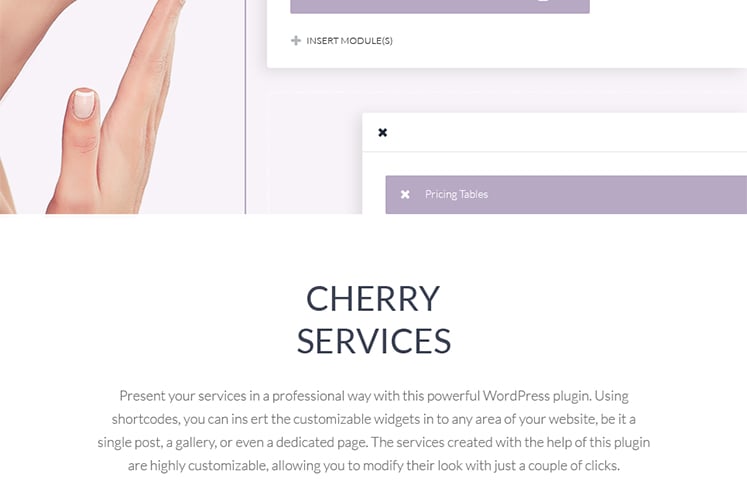 отзывчивая тема wordpress клиники пластической хирургии