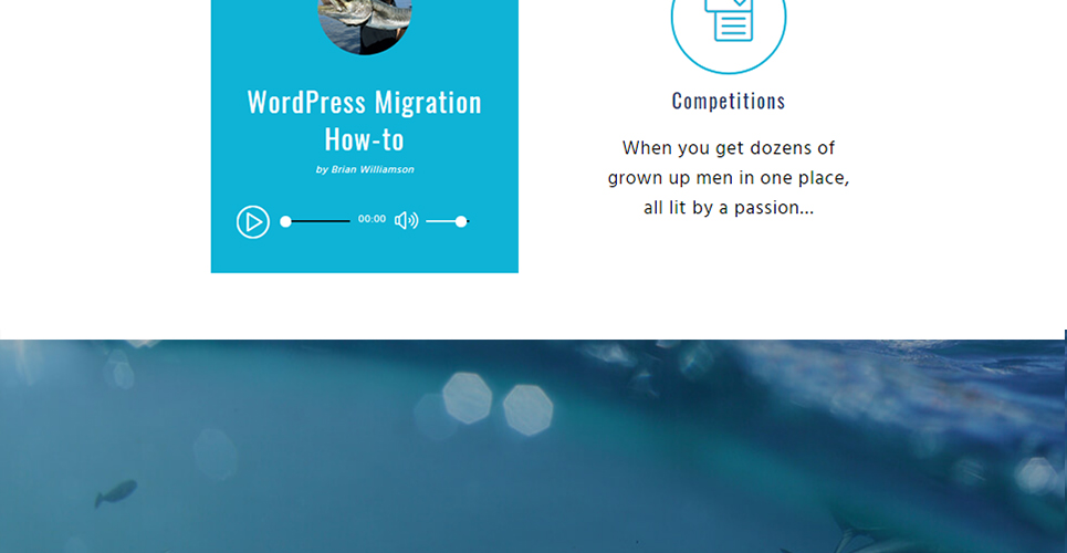рыболовный клуб отзывчивая тема wordpress