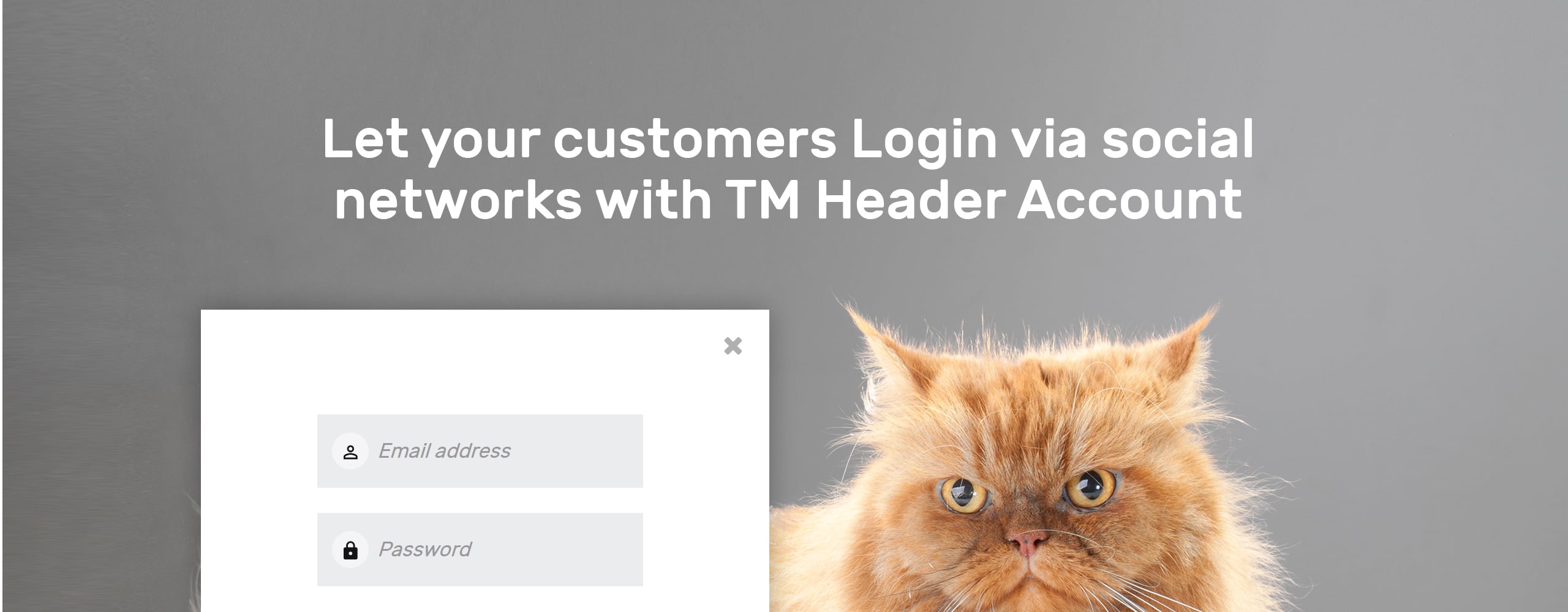тема shopkitty prestashop