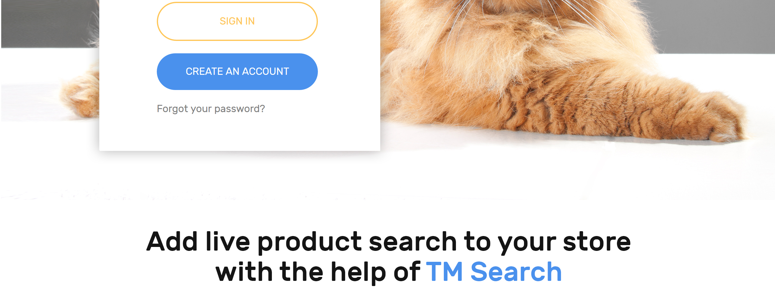 тема shopkitty prestashop
