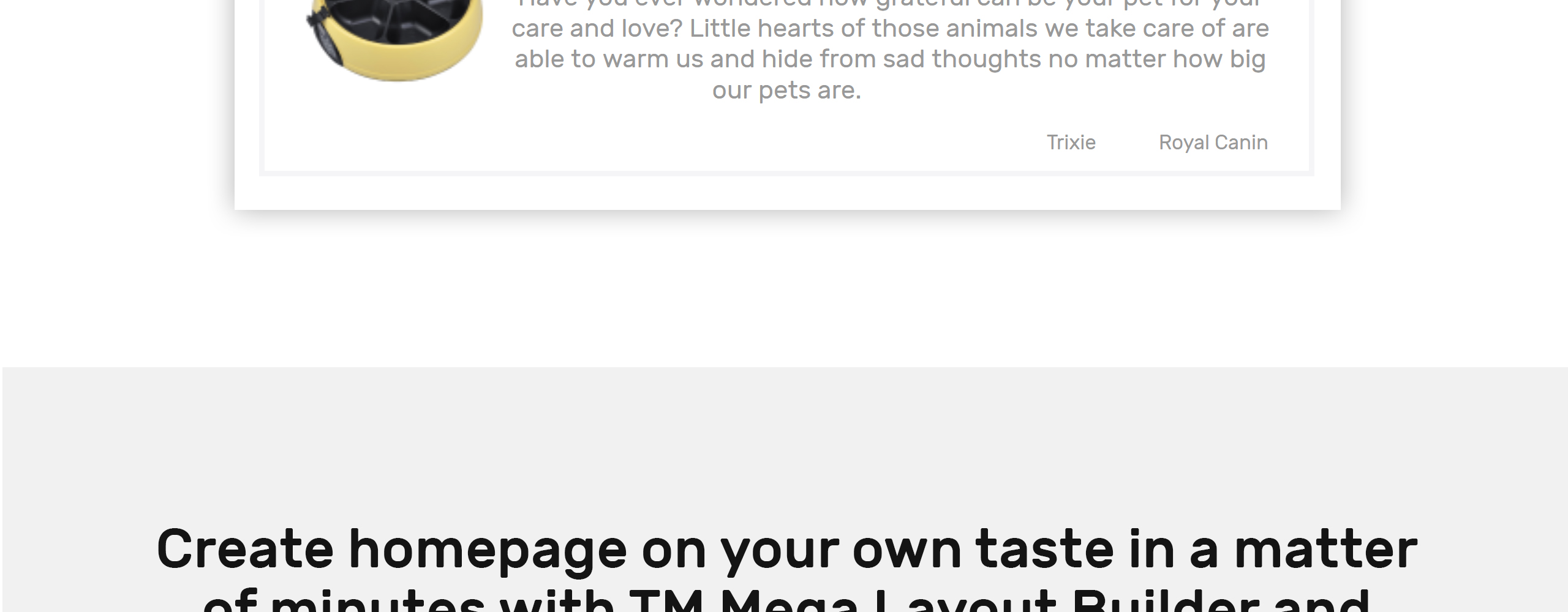 тема shopkitty prestashop