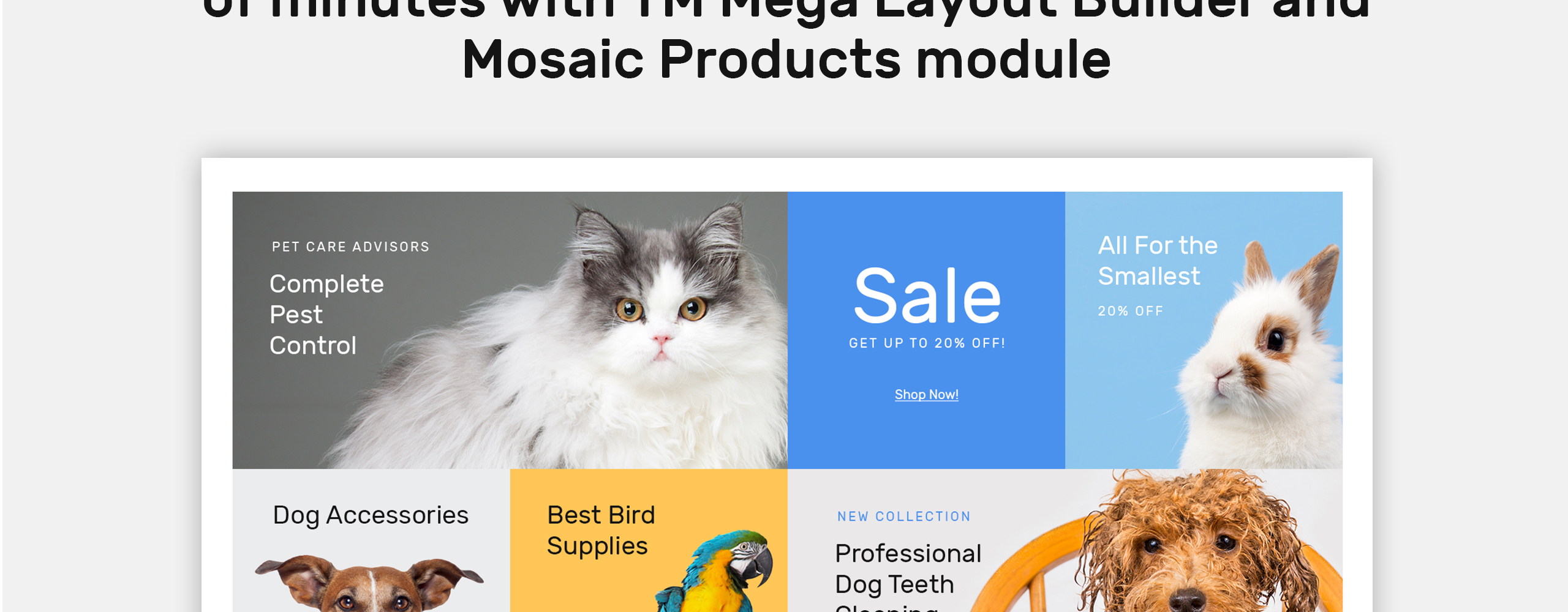 тема shopkitty prestashop