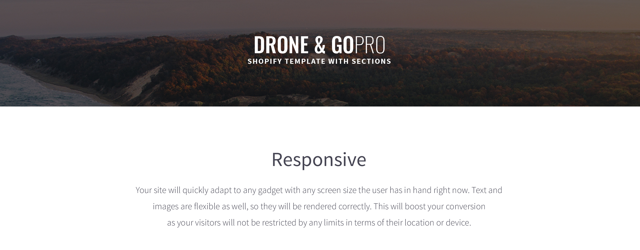 drone shop shopify тема
