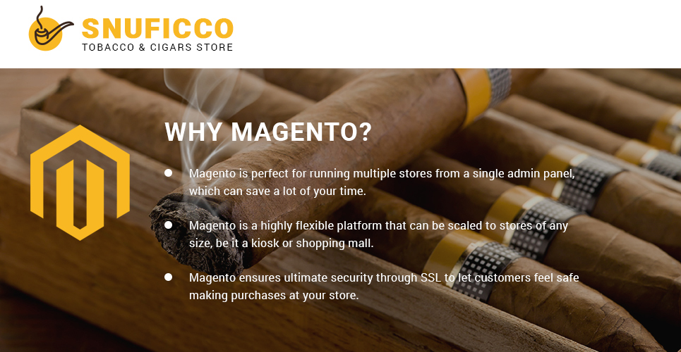 магазин табака и сигар отзывчивый magento 2 theme magento theme
