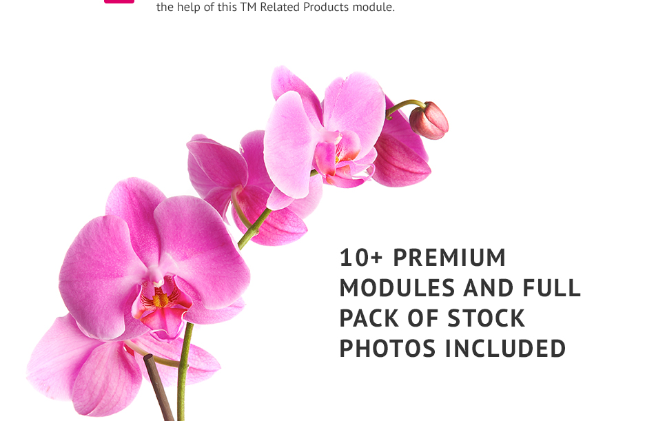 магазин косметики prestashop тема
