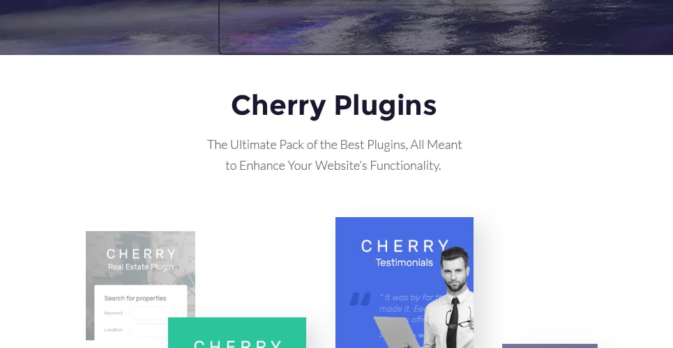 парк развлечений отзывчивая тема wordpress