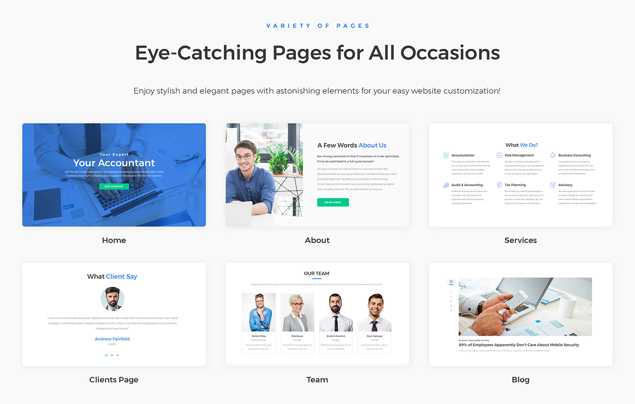 бухгалтер эксперт отзывчивая тема wordpress