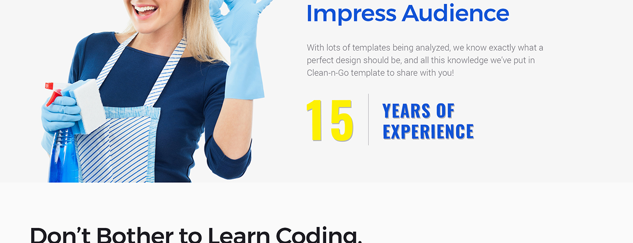 клининговые услуги wordpress тема