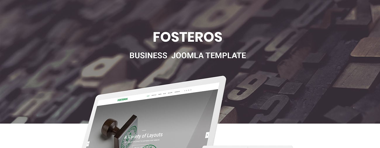 бизнес-шаблон joomla