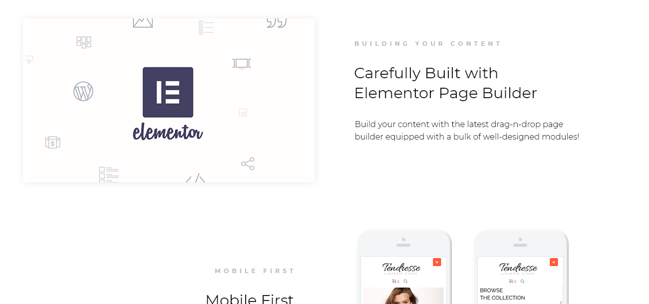 Lingerie Elementor WooCommerce Theme