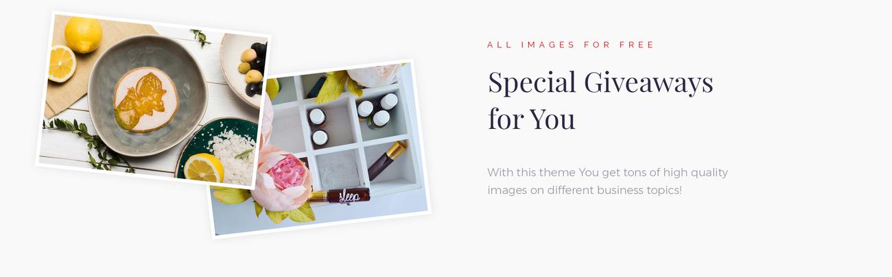 здоровая мода wordpress elementor theme