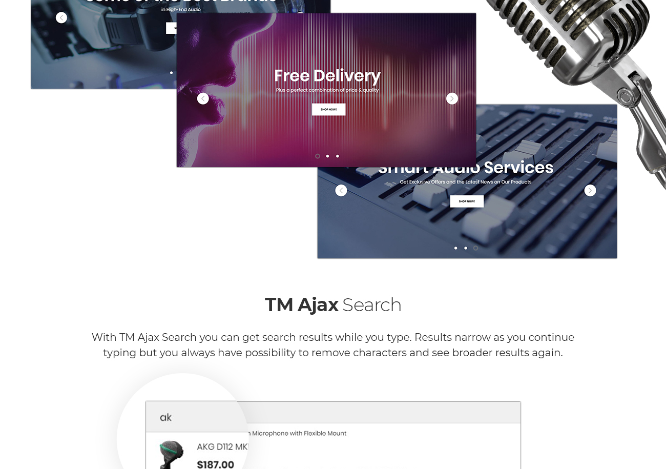 amp audio store magento theme