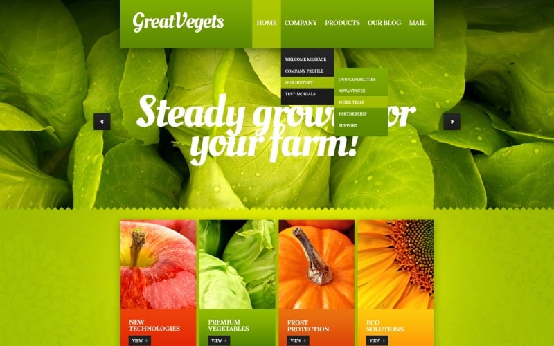 шаблон fruit drupal