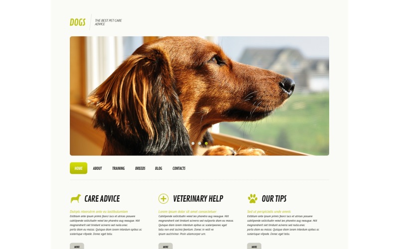 собака отзывчивая тема wordpress