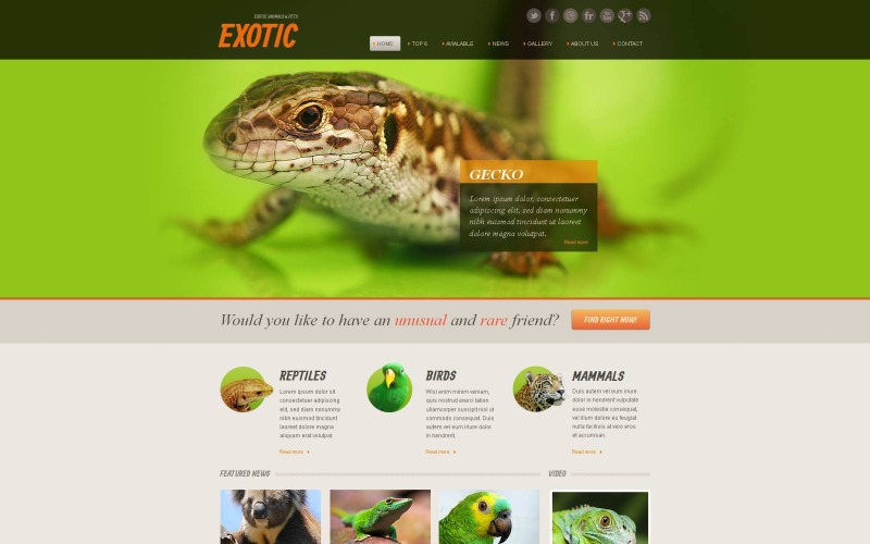 exotic pets moto cms html шаблон