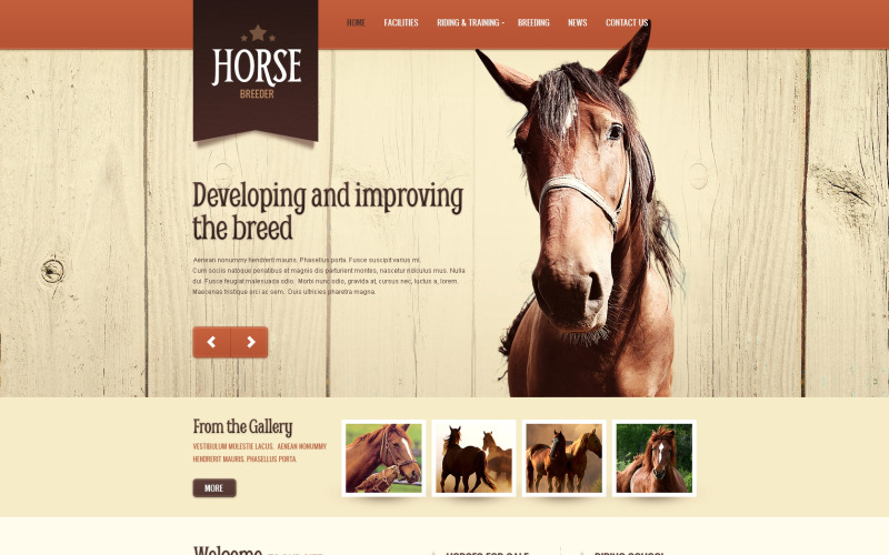 шаблон drupal horse spirit