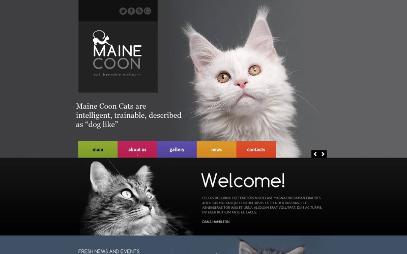cat moto cms html шаблон