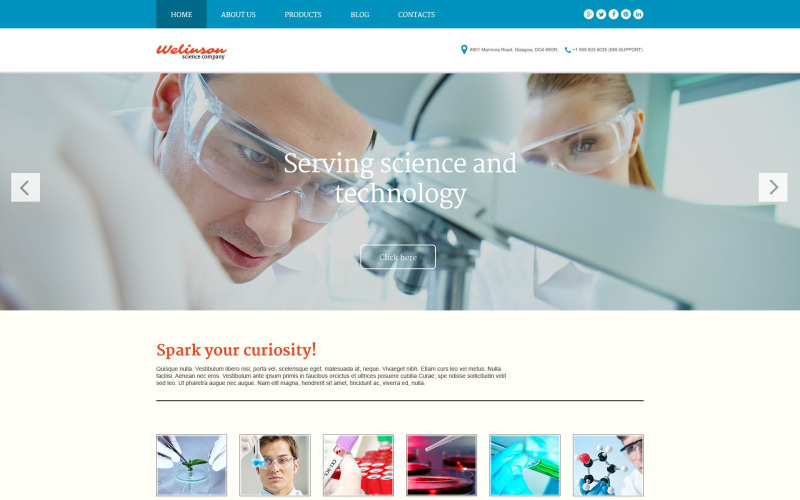 welinson wordpress тема