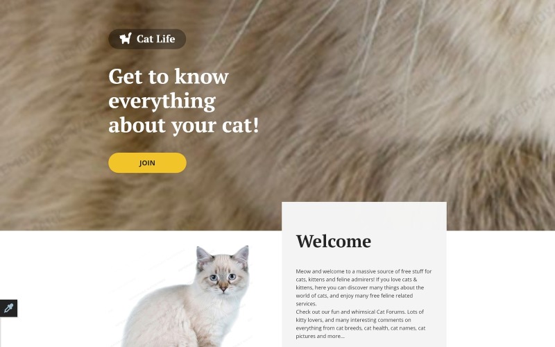 cat отзывчивый шаблон целевой страницы