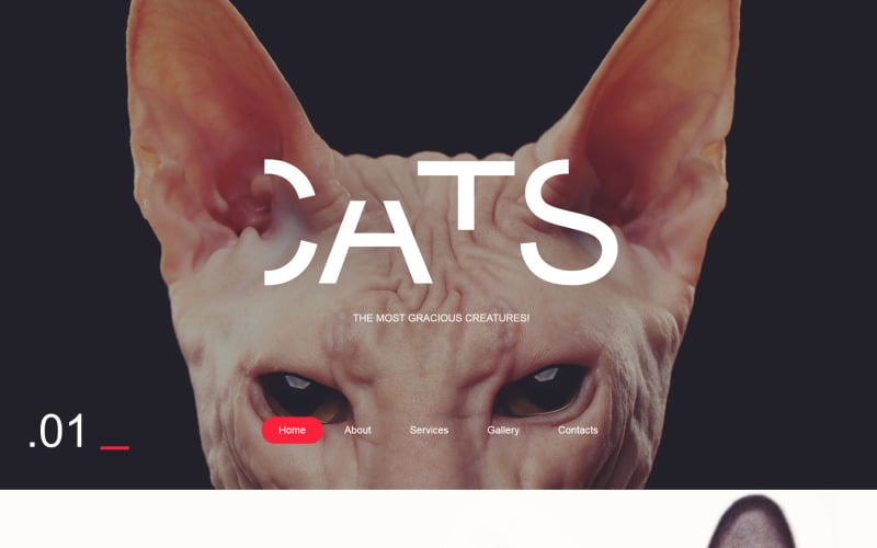 адаптивный шаблон сайта cat