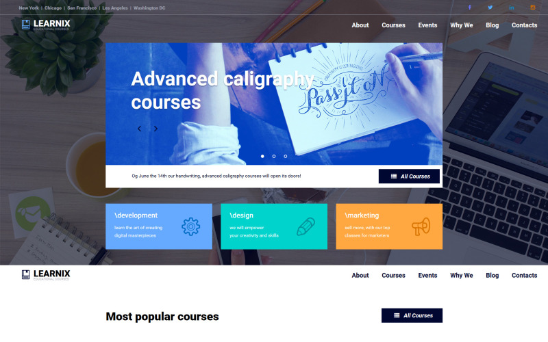 шаблон education moto cms 3