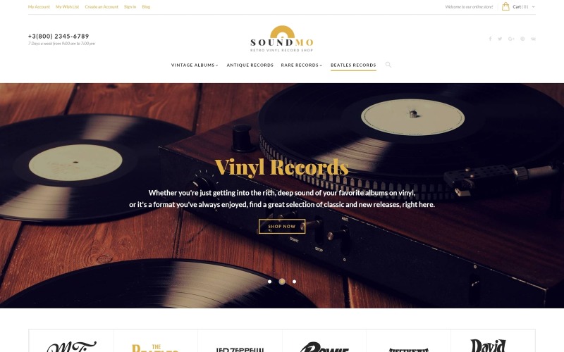виниловые и аудиопродукты magento theme