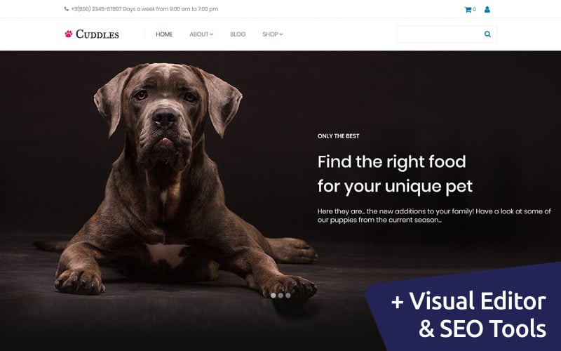 шаблон электронной коммерции pet store motocms