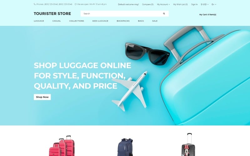 используйте чистый шаблон opencart