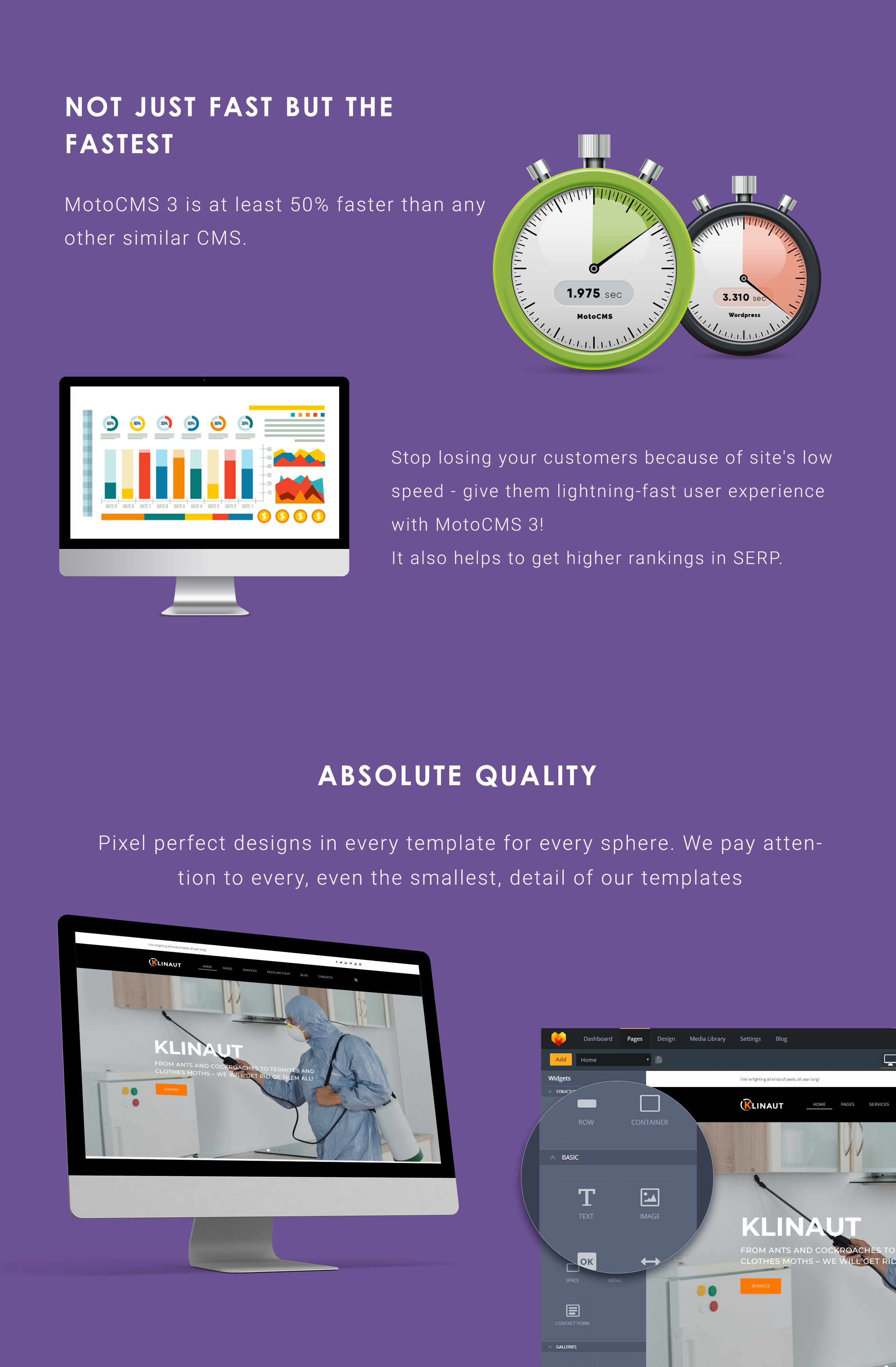 pest control moto cms 3 шаблон