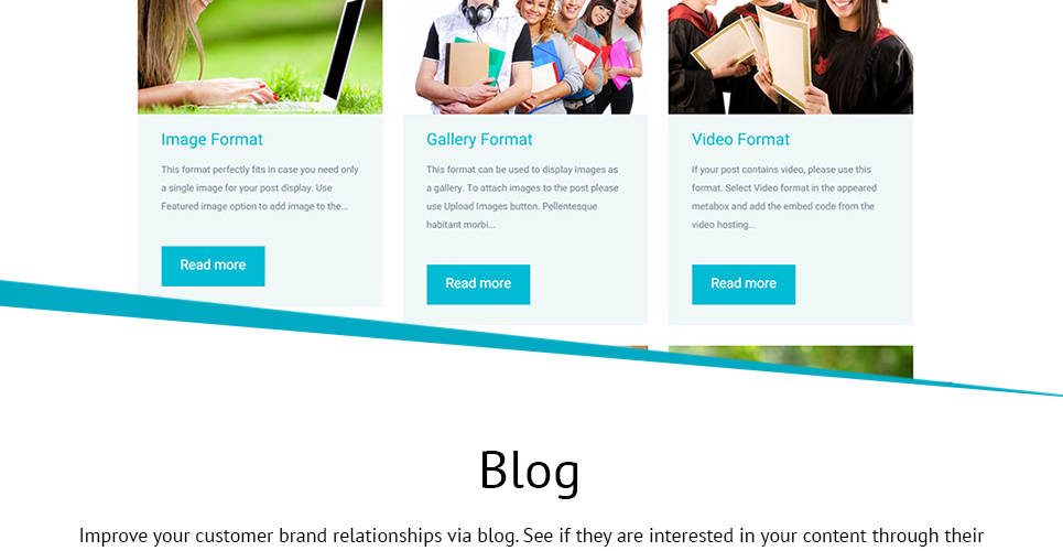 тема wordpress для школьного округа