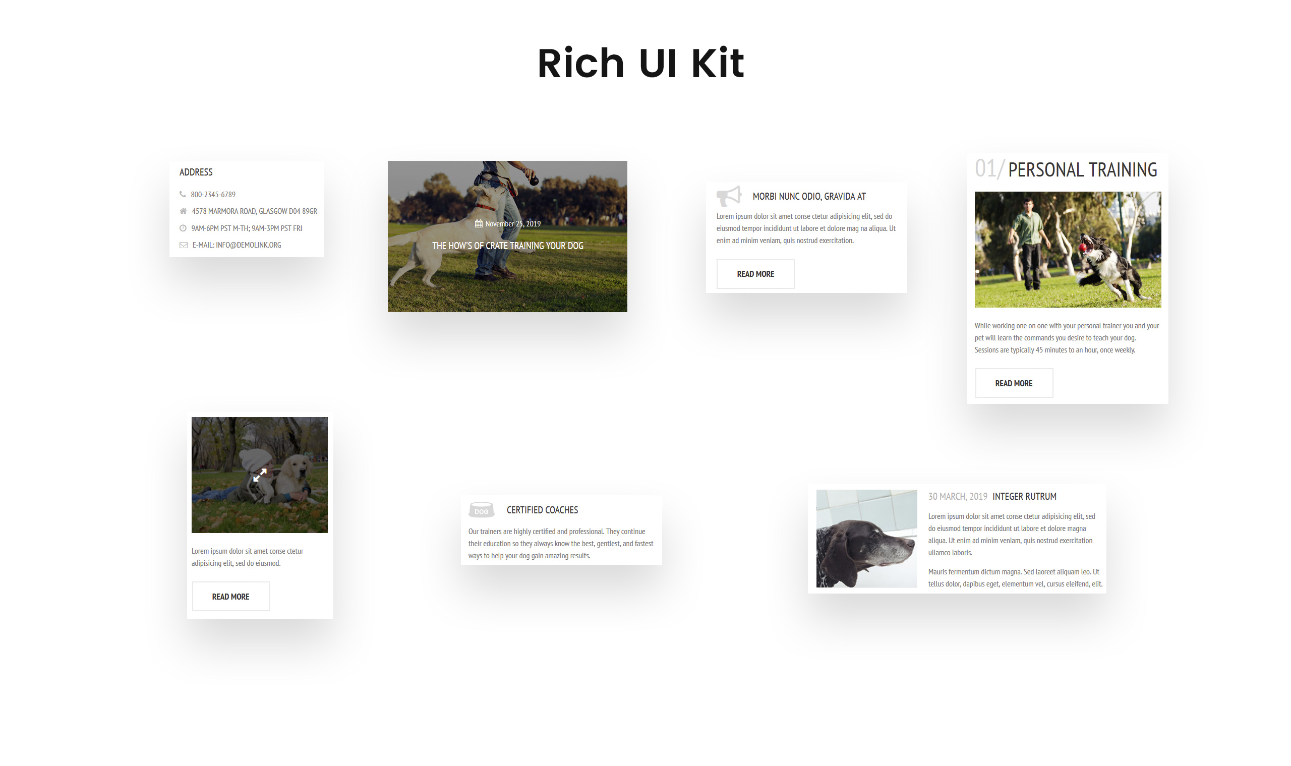 dog templates адаптивный современный html шаблон сайта