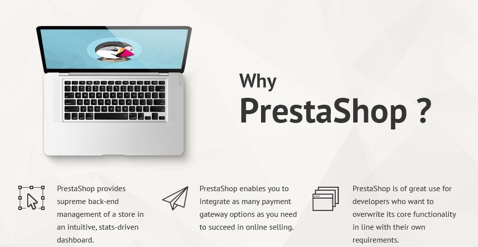 тема магазина монет prestashop