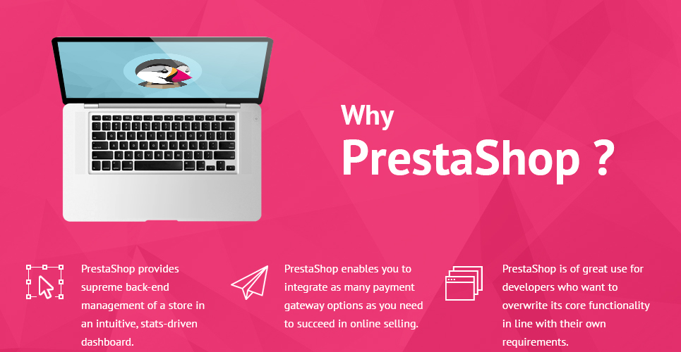 тема kamelia prestashop