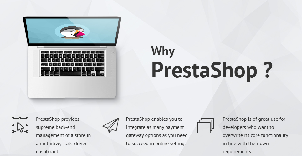 визитная карточка prestashop тема