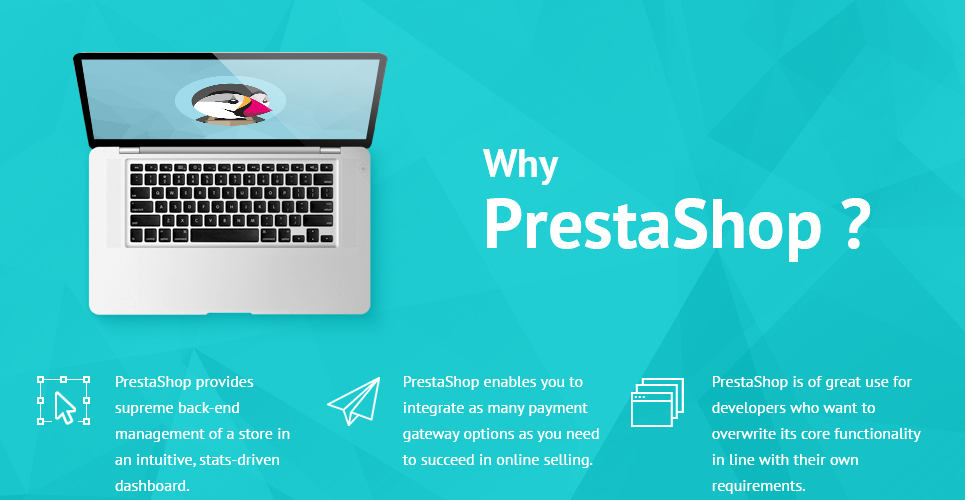 тема tennis sport prestashop