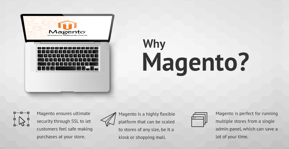 женская одежда magento theme