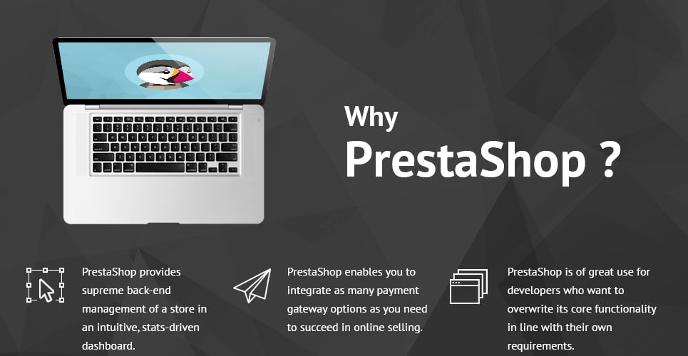 вина prestashop тема