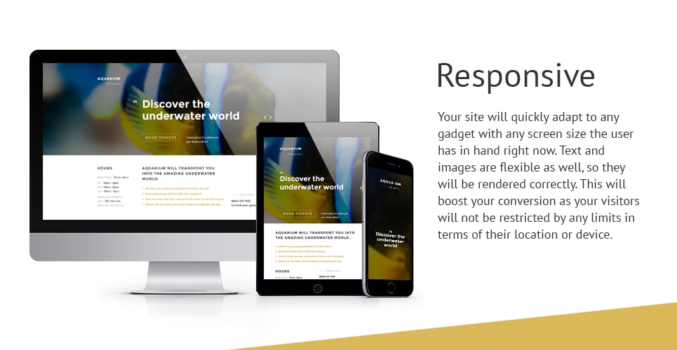 fish responsive landing page template