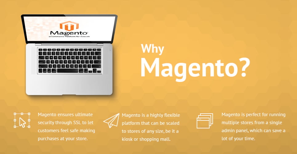тема animally magento