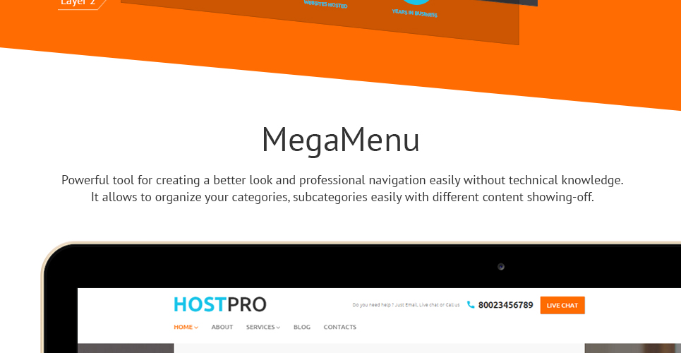 тема WordPress hostpro