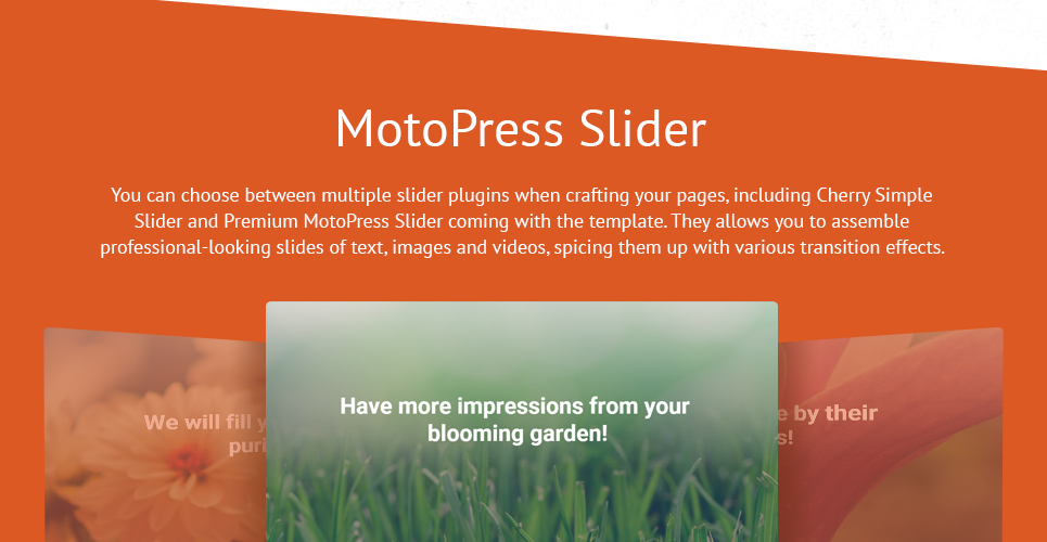 мануэль wordpress тема