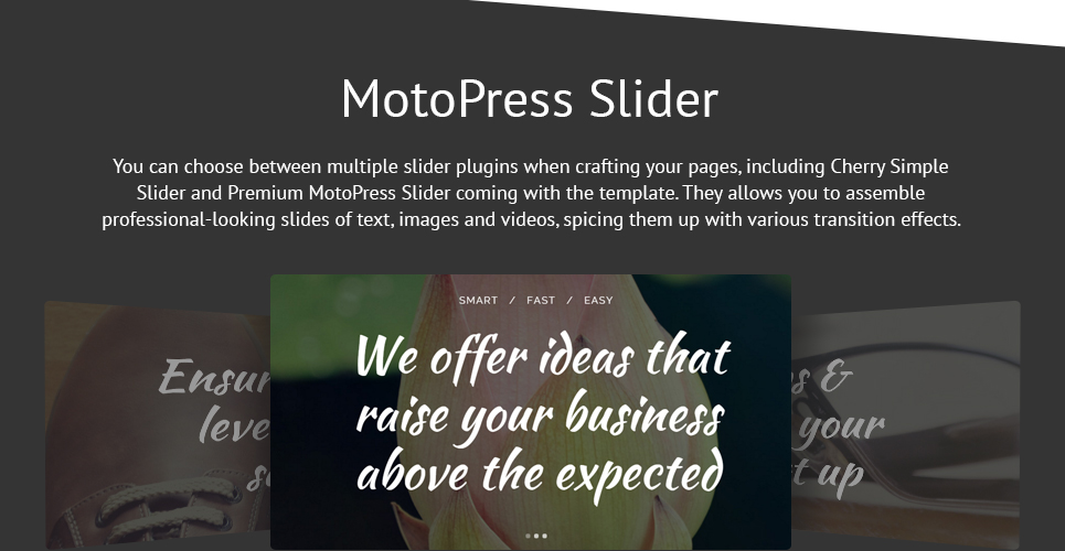 лидер wordpress тема