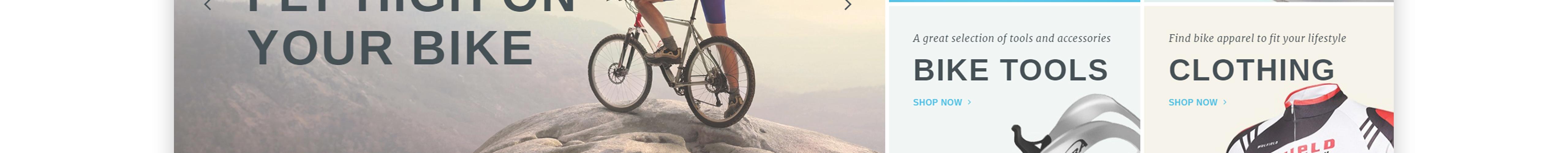 тема bikerita prestashop