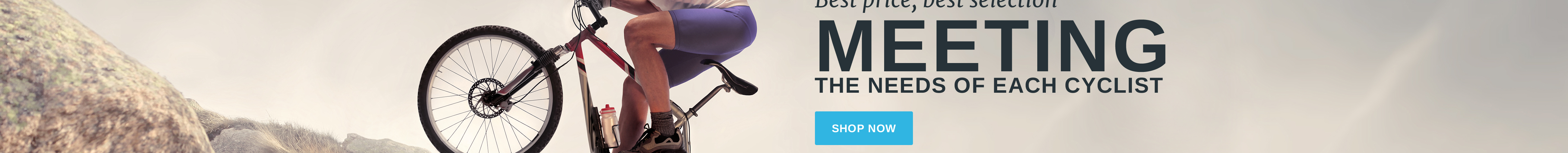тема bikerita prestashop