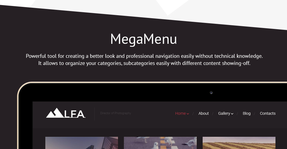 тема wordpress lfa