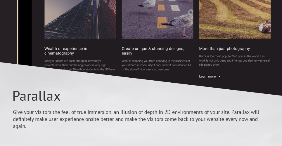 тема wordpress lfa
