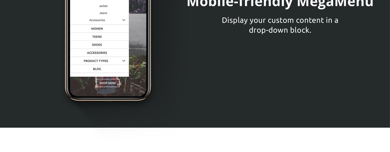 модный бутик magento theme